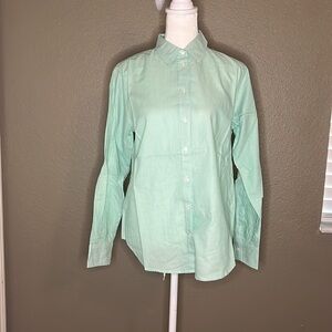 Everlane The Relaxed Oxford Shirt Mint Stripe Size 0 - NWT